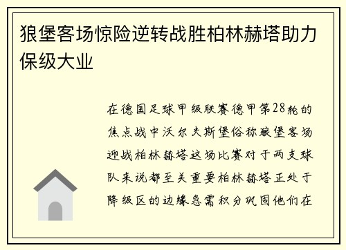 狼堡客场惊险逆转战胜柏林赫塔助力保级大业